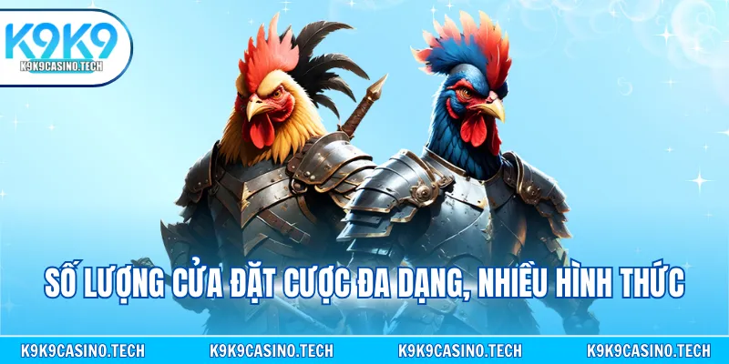 Số lượng cửa đặt cược đa dạng, nhiều hình thức